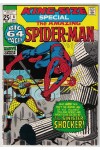 Amazing Spider Man Annual   8 FVF